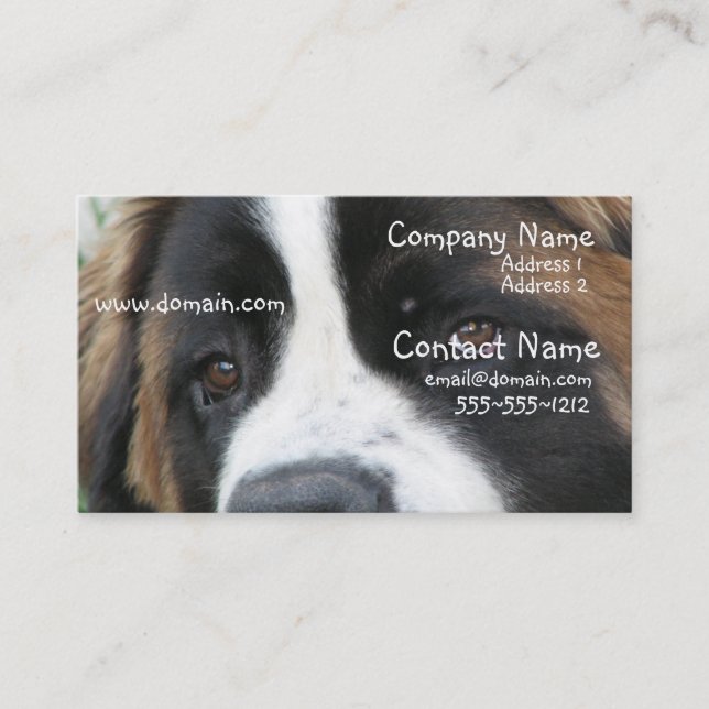 St Bernard Puppies Business Card (Front)