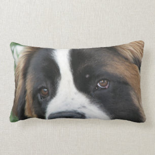 St Bernard Puppies Pillow