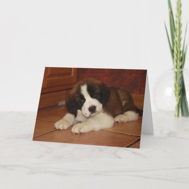 St Bernard Puppy Card (Front)