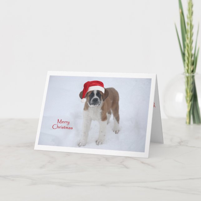 St Bernard Puppy Christmas Holiday Card (Front)