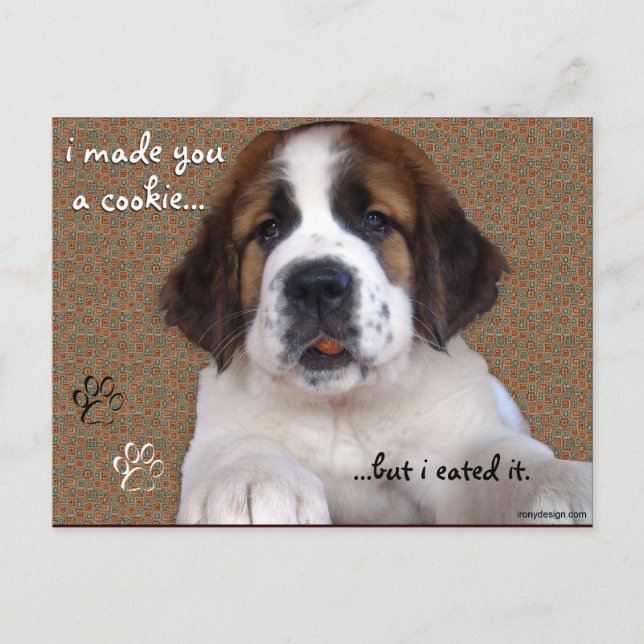 St Bernard Puppy Cookie Postcard (Front)