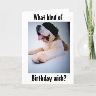 ST. BERNARD SENDS "HUGE" BIRTHDAY WISHES HOLIDAY CARD