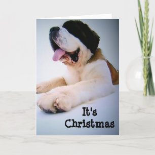 ST. BERNARD SENDS "HUGE" CHRISTMAS WISHES HOLIDAY CARD