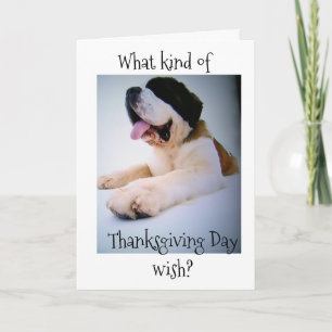 ST. BERNARD SENDS "HUGE" THANKSGIVING WISHES HOLIDAY CARD