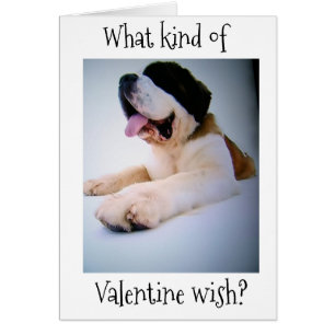 ST. BERNARD SENDS "HUGE" VALENTINE WISHES