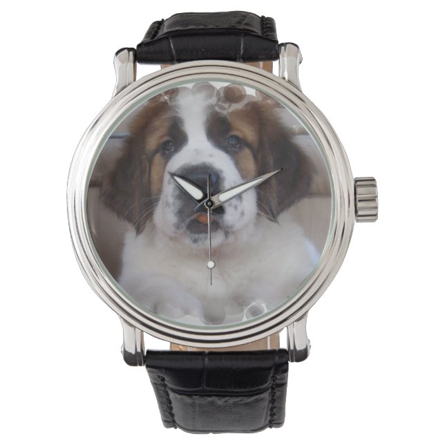 St Bernard Watch (Front)