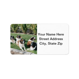 St. Bernards in the Yard Label