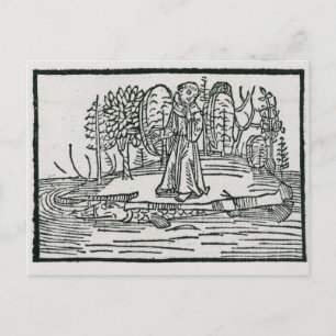 St. Brendan on the fish island Postcard