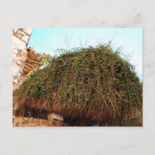 St. Catherine's Monastery, South Sinai, Egypt Postcard