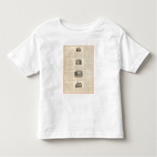 St Cloud Hotel, Westminster Hotel Toddler T-Shirt