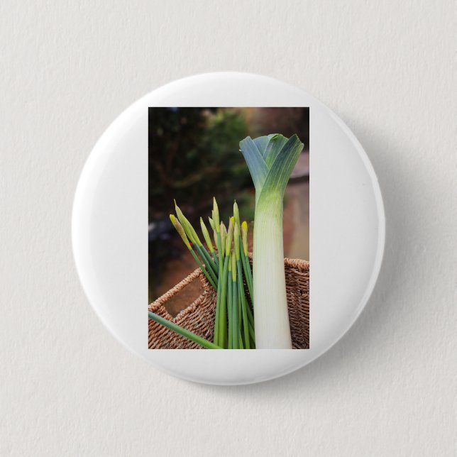 St David's Day 6 Cm Round Badge (Front)
