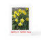 St David's Day Greeting Card