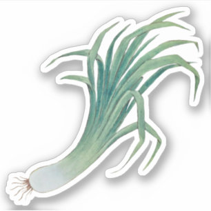 St. David's Day Leek Contour Sticker (fL)
