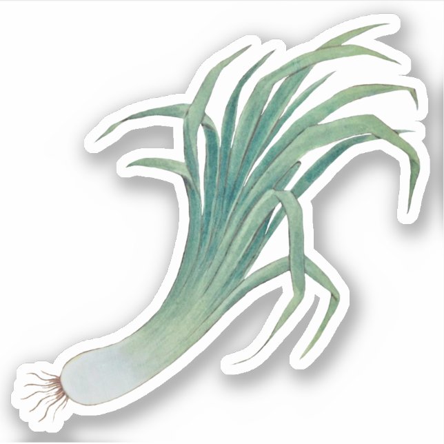 St. David's Day Leek Contour Sticker (fL) (Front)