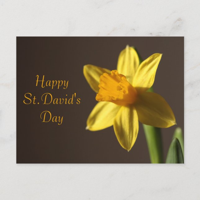St.David's Day Postcard (Front)