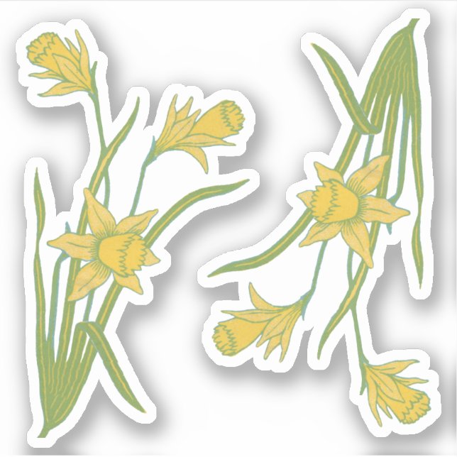 St. David's or St. Piran's Day Daffodils (fR) - (Front)