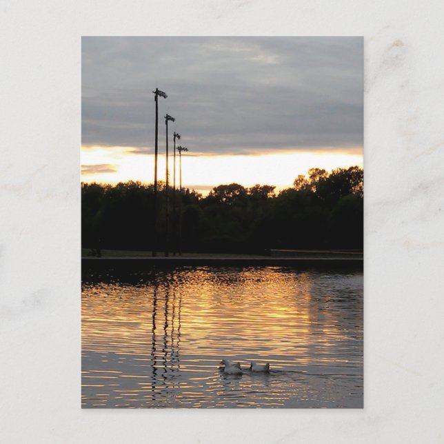 St. Ferdinand Park Postcard (Front)