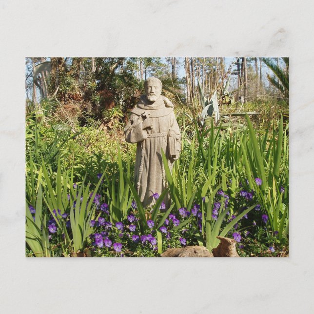 St. Francis Among Pansies Postcard (Front)