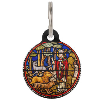 St. Francis Animal Protector Pet Tag