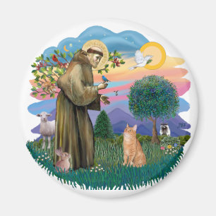 St Francis (ff) - Orange Tabby cat Magnet