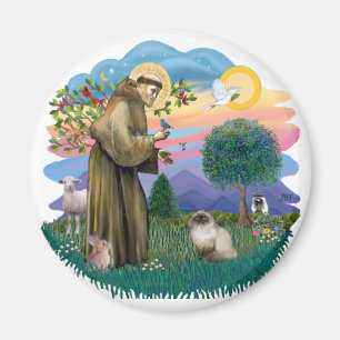 St Francis (ff) - Seal Point Himalayan cat Magnet