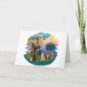 St Francis (ff) - Two Tabby cats Card