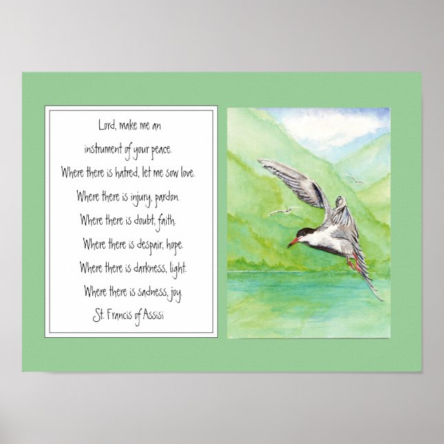 St. Francis of Assisi Prayer Common Tern Bird Poster (Front)