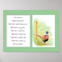 St. Francis of Assisi, Prayer Ring Necked Pheasant