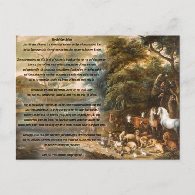 St. Francis of Assisi & The Rainbow Bridge Postcard (Front)