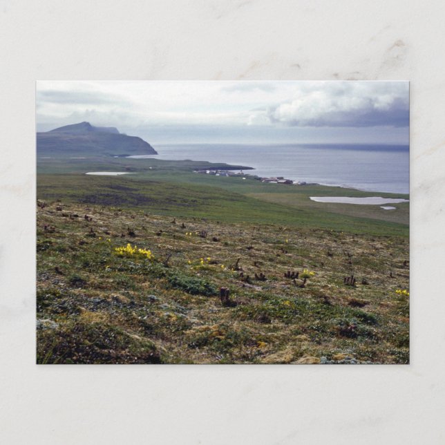 St. George Island, Pribilofs 1987 Postcard (Front)