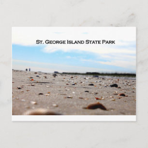 ST. GEORGE ISLAND STATE PARK - FLORIDA POSTCARD