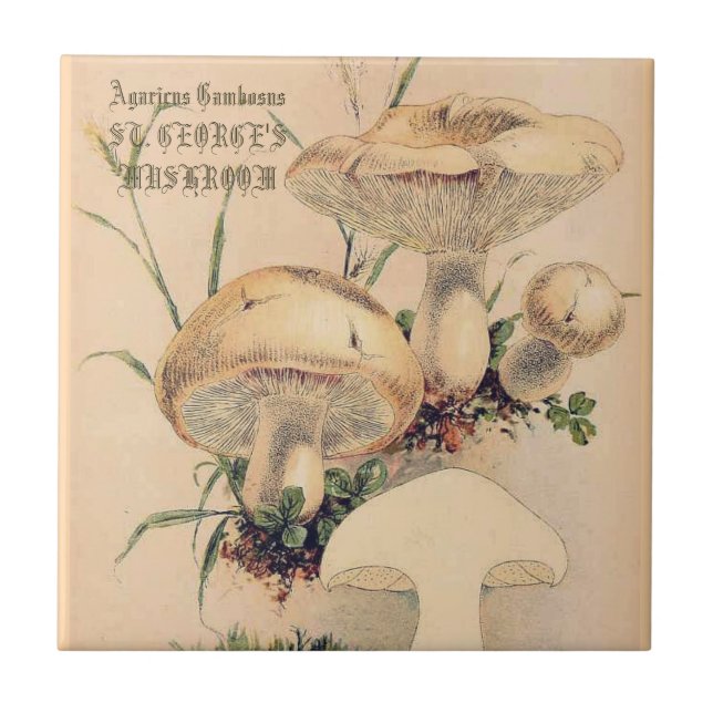 ST. GEORGE'S MUSHROOM   CERAMIC TILE (Front)
