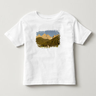St Giovanni, Val di Funes, Dolomites, Italy Toddler T-Shirt
