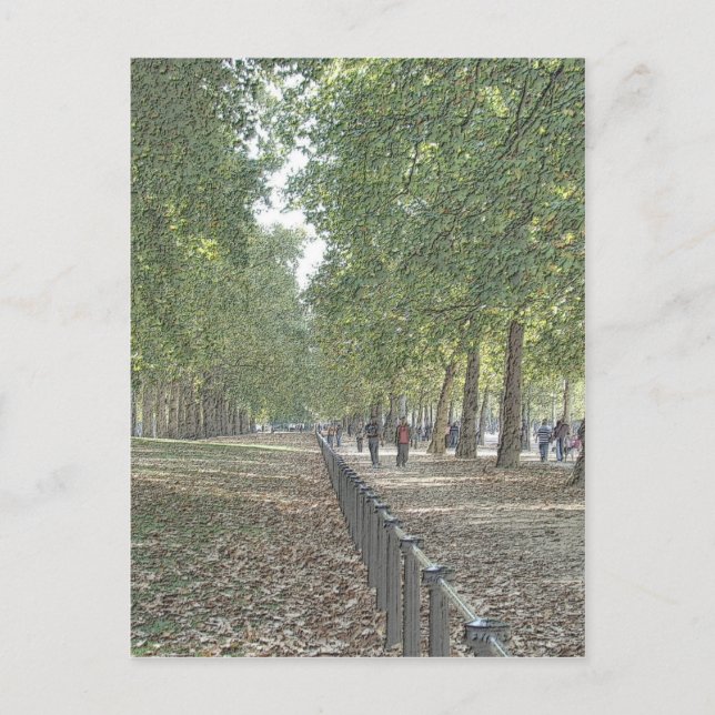 St Jame's Park Postcard (Front)