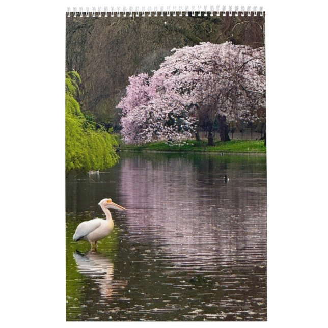 St James's Park, London  Calendar (Cover)
