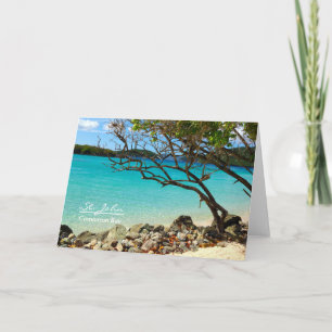 St. John Cinnamon Bay Blank Note Card