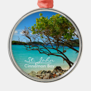 St. John Cinnamon Bay Silver Frame Ornament