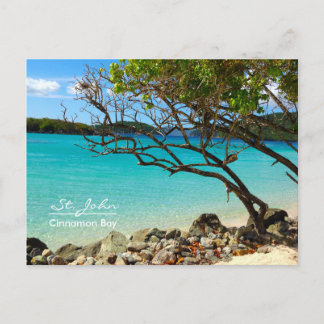 St. John USVI Cinnamon Bay Beach Postcard