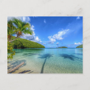 St John USVI Island Life Postcard