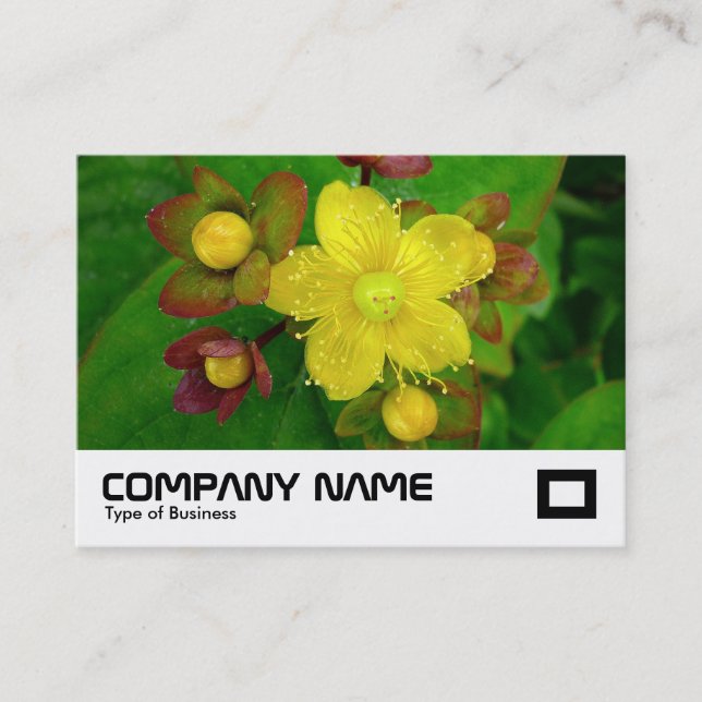 St John's wort Business Card (Front)