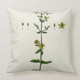 St. John's Wort, plate 15 from 'A Curious Herbal', Cushion