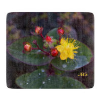 St. John's Wort Yellow Flower Personalised
