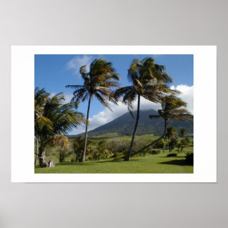 St Kitts Plantation Poster