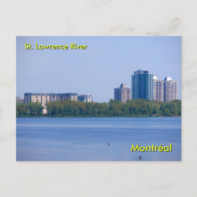 St. Lawrence River Postcard (Front)
