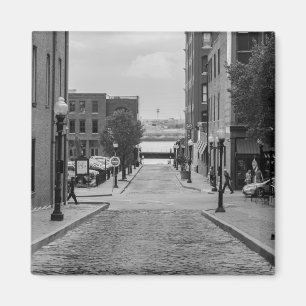 St Louis Alley Grayscale Magnet