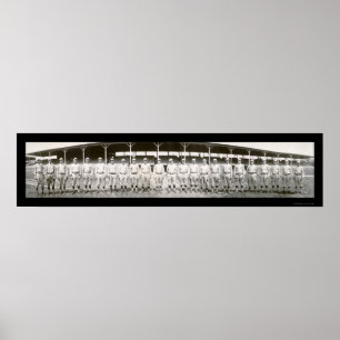 St. Louis Cardinals Photo 1910 Poster