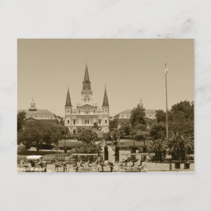 St. Louis Cathedral, New Orleans Postcard