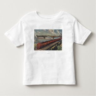 St. Louis, Missouri Toddler T-Shirt