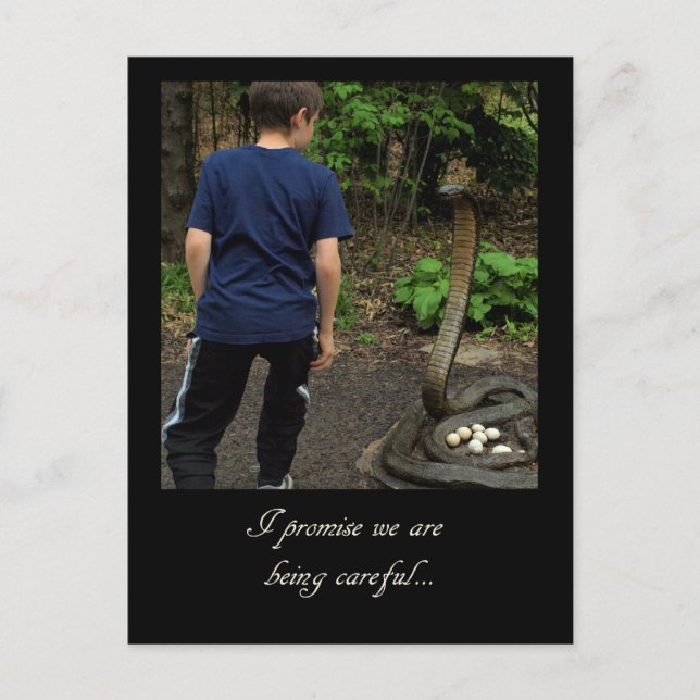 St Louis Zoo 2009 Postcard (Front)