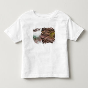 St Mary Falls in Glacier National Park in Toddler T-Shirt